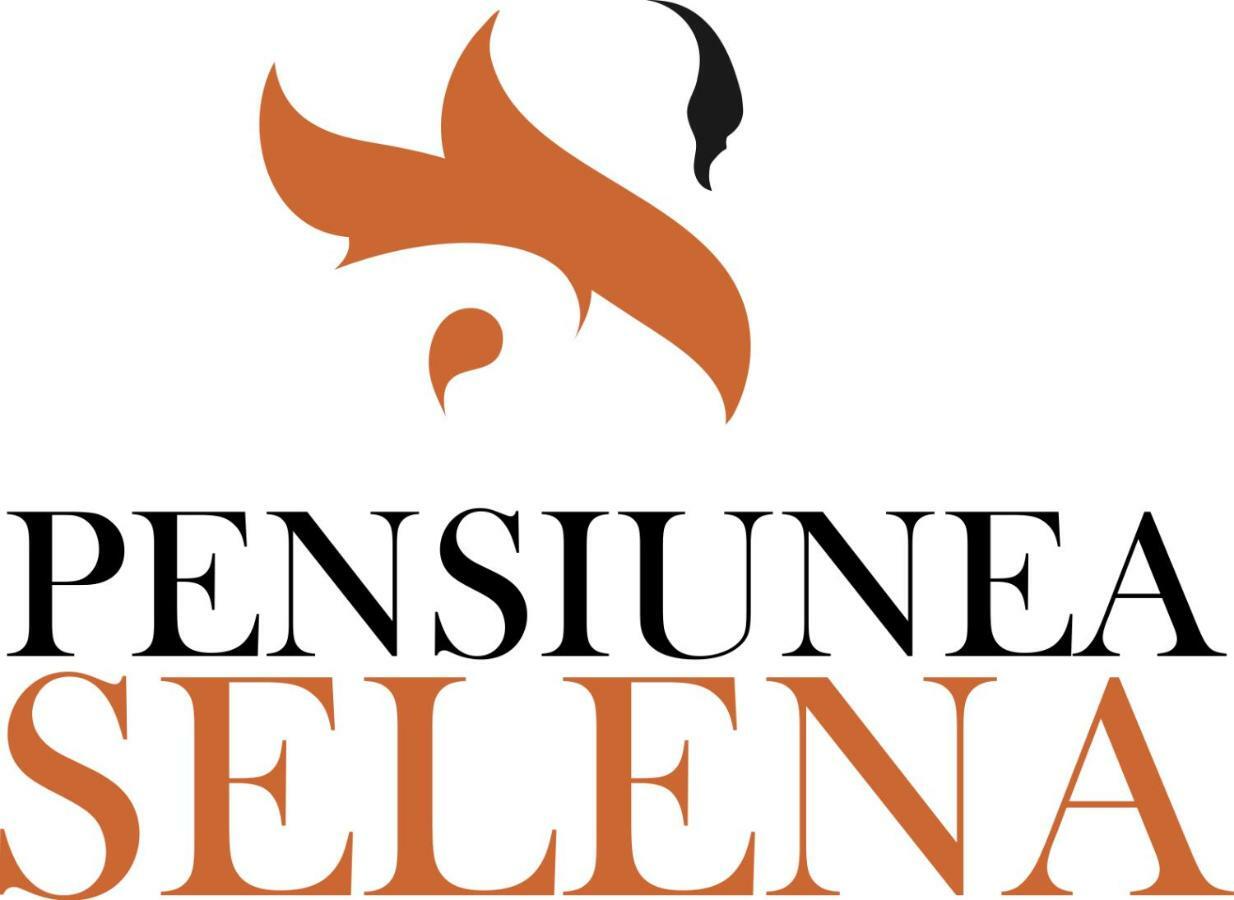 Pensiunea Selena Vişeu de Sus 外观 照片